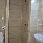 Guest house Cosmin